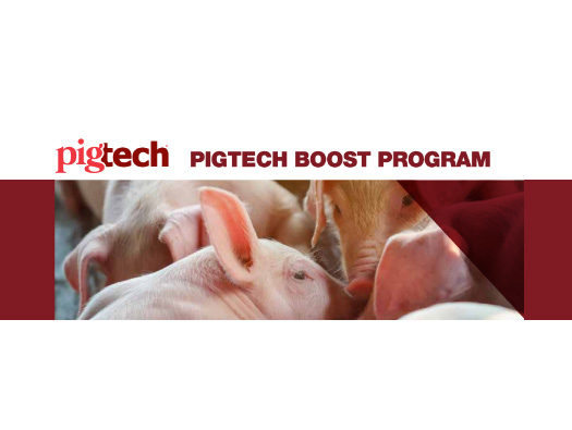 Swine PigTech Boost Factsheet Swine PigTech Boost Factsheet