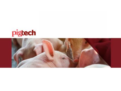 Swine PigTech Boost Factsheet
