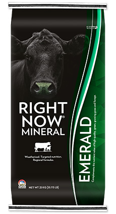 Beef Right Now Mineral