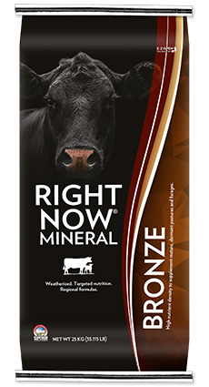 Beef Right Now Mineral Bronze
