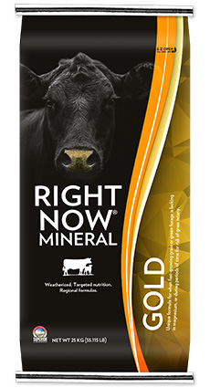 Beef Right Now Mineral Gold