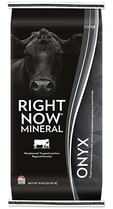 Beef Right Now Minerals Onyx
